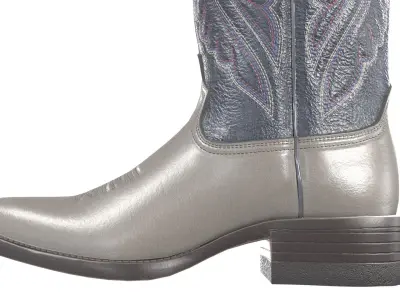 Grey Stitch Cowgirl Boots 3D model