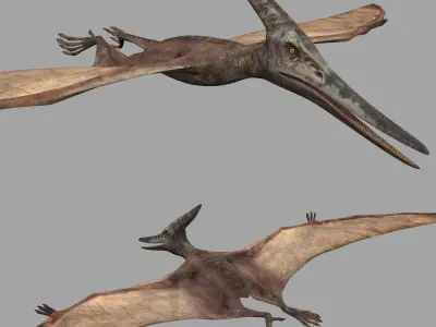 Dino Extra Pack 8K - fully animated 3D model