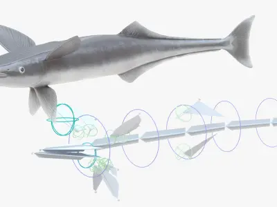  Remora Fish Rigged 