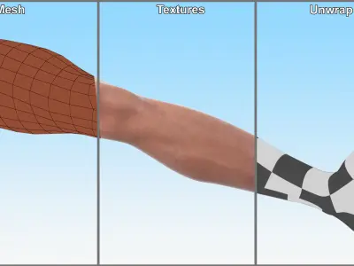 Male Athletic Leg 3D model purchase