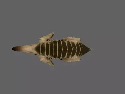 Creature 3D model 47