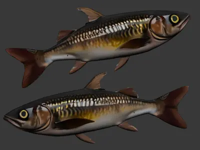 Fish carp 3D model purchase
