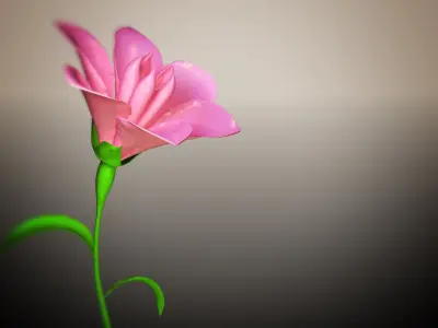 Animated Flower Blooming Flower 3D model purchase