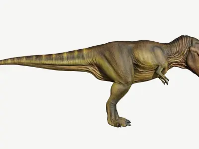Tyrannosaurus Rex Low-poly 3D model 10