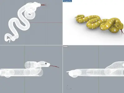 Snake yellow Serpent jaune 3D model