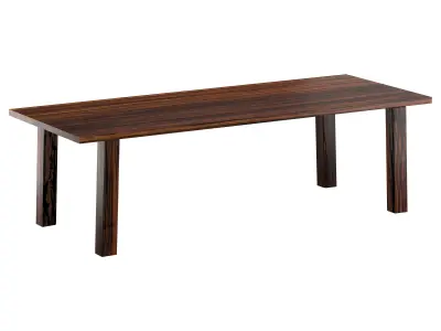 SPO African Walnut Table 3D model