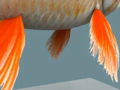 Gold fish 3D model buy