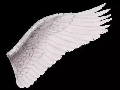 Angel Wings Free 3D model