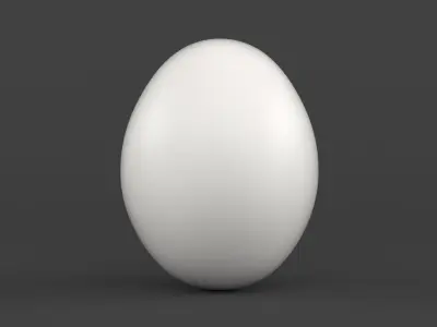 Broken White Egg 3D model