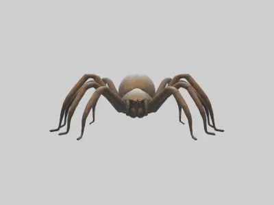 Giantspider Model Low-poly 3D model