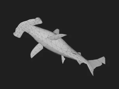 Shark Low-poly 3D model 16