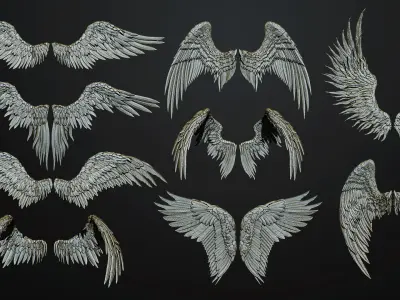 11 Wings 3D model purchase