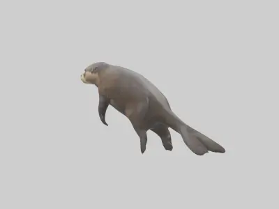 Giant Otter swimming model Low-poly 3D model