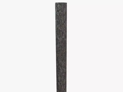 Medieval Log V01 Low-poly 3D model