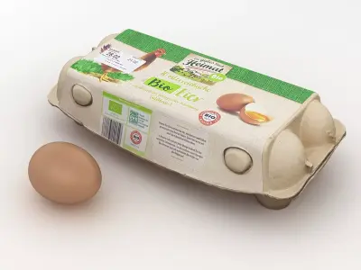 Egg Carton 001 3D model