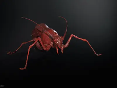 Cockroach1 Low-poly 3D model