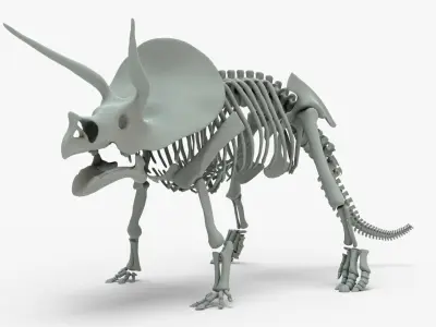 Triceratops Rigged Skeleton Low-poly 3D model