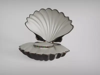Medieval Bracelets Collection - Seashell Jewelry Box  3D print model