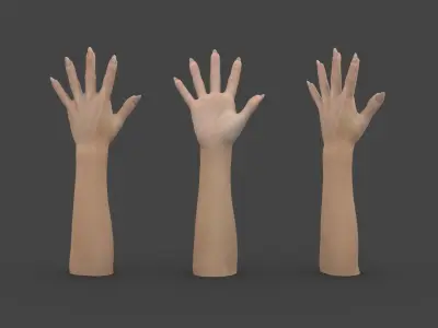 HAND-017 Woman right hand Low-poly 3D model