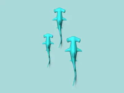 Hammerhead Shark - Wall Decor - Decoration 3D print model