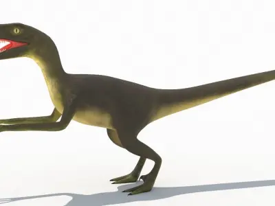 Velociraptor dinosaur 3D model order
