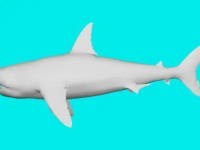 big shark 3D model