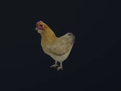 low-poly animated chicken Low-poly 3D model