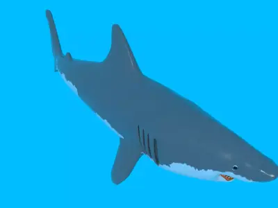 Great White Shark BLEND OBJ FBX DAE GLB 3D model