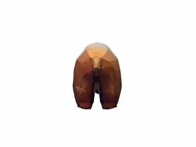 High 3d Render  The Bear a Is Large Powerful Animal 3D model