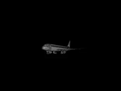 Burnt Airliner 3 3D model