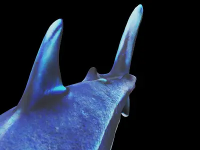 Low-polygon shark model Low-poly 3D model