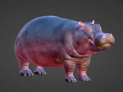 Hippo - Rigged  Low-poly 3D model