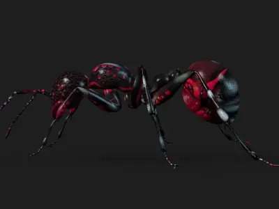 Ant-A3 3D model