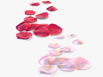 Realistic Rose Petals 3D Models - High-Quality 4K PBR Asset 3D model