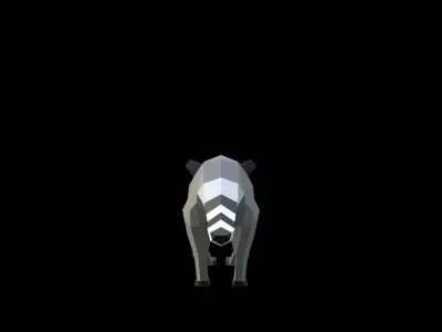 Raccoon Low-poly 3D model