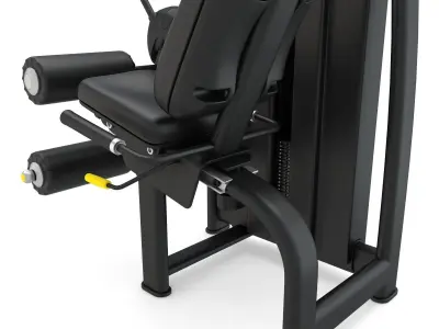 Technogym - Selectorised - Leg Curl  3D model