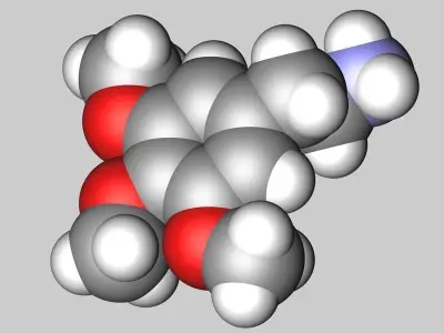 Mescaline molecule 3D model