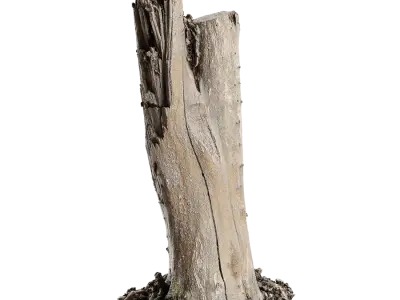  Tall Bare Deciduous Stump Model 
