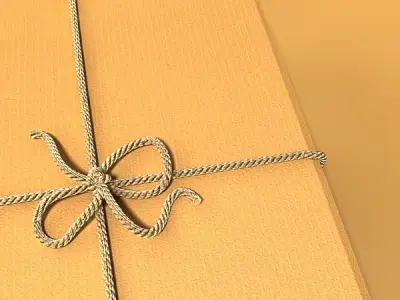 Photorealistic Cardboard Box 3D model