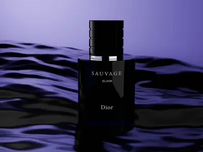 Dior Sauvage Elixir 100ml 3D model