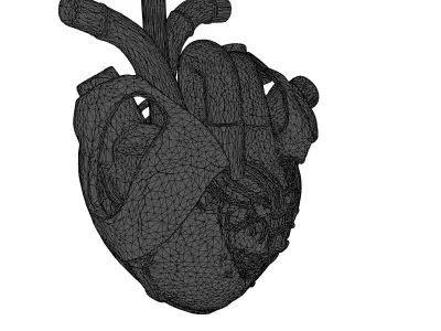 Cybernetic Heart with Glowing Tubes 3D model