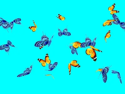 butterflies flying in air Low-poly 3D model