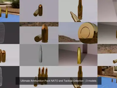Ultimate Ammunition Pack NATO and Tactical Selection 