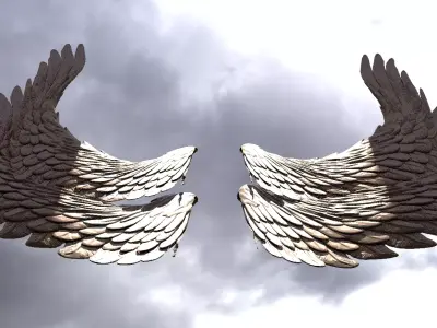 Serafim Wings 9  3D model