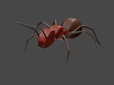 Ant model Free 3D model