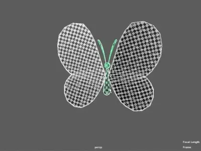 Butterfly 3D model 7