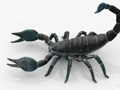 Low Poly Scorpion Rigged Low-poly 3D model