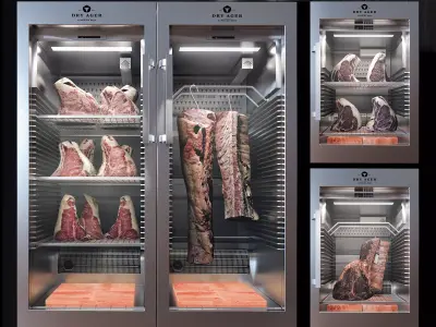 DRY AGER DX 3D model