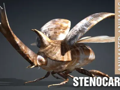Stenocara A4 Free 3D model