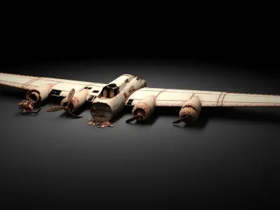 Airplane Wreck 3D model